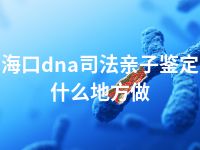 海口dna司法亲子鉴定什么地方做