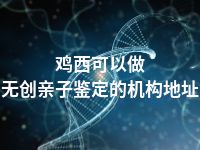 鸡西可以做无创亲子鉴定的机构地址