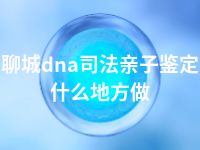 聊城dna司法亲子鉴定什么地方做