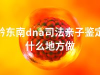 黔东南dna司法亲子鉴定什么地方做