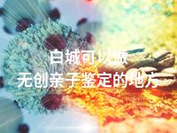 白城可以做无创亲子鉴定的地方
