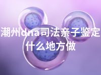 潮州dna司法亲子鉴定什么地方做