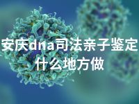 安庆dna司法亲子鉴定什么地方做
