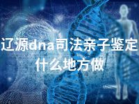 辽源dna司法亲子鉴定什么地方做