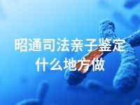 昭通司法亲子鉴定什么地方做