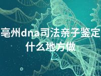 亳州dna司法亲子鉴定什么地方做