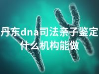 丹东dna司法亲子鉴定什么机构能做