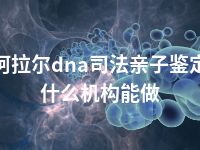 阿拉尔dna司法亲子鉴定什么机构能做
