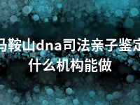 马鞍山dna司法亲子鉴定什么机构能做