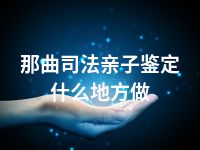 那曲司法亲子鉴定什么地方做