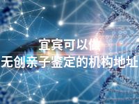 宜宾可以做无创亲子鉴定的机构地址
