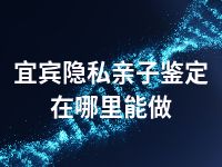 宜宾隐私亲子鉴定在哪里能做