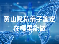 黄山隐私亲子鉴定在哪里能做