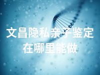 文昌隐私亲子鉴定在哪里能做