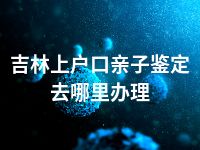吉林上户口亲子鉴定去哪里办理