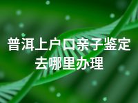 普洱上户口亲子鉴定去哪里办理