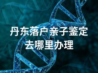 丹东落户亲子鉴定去哪里办理