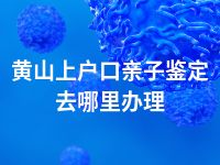 黄山上户口亲子鉴定去哪里办理