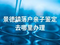 景德镇落户亲子鉴定去哪里办理