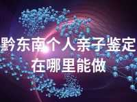 黔东南个人亲子鉴定在哪里能做