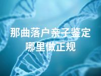 那曲落户亲子鉴定哪里做正规