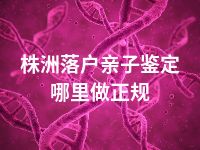 株洲落户亲子鉴定哪里做正规