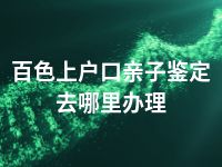 百色上户口亲子鉴定去哪里办理