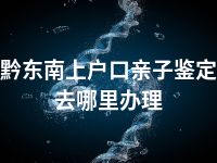 黔东南上户口亲子鉴定去哪里办理