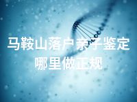 马鞍山落户亲子鉴定哪里做正规