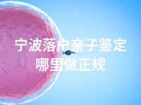 宁波落户亲子鉴定哪里做正规
