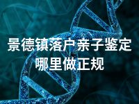 景德镇落户亲子鉴定哪里做正规