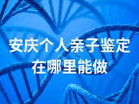安庆个人亲子鉴定在哪里能做