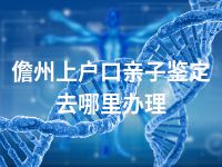 儋州上户口亲子鉴定去哪里办理