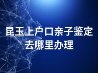 昆玉上户口亲子鉴定去哪里办理