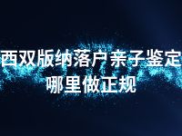 西双版纳落户亲子鉴定哪里做正规