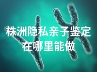 株洲隐私亲子鉴定在哪里能做