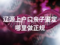 辽源上户口亲子鉴定哪里做正规