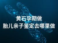 黄石孕期做胎儿亲子鉴定去哪里做