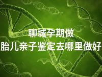 聊城孕期做胎儿亲子鉴定去哪里做好