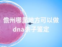 儋州哪里地方可以做dna亲子鉴定