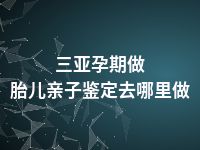 三亚孕期做胎儿亲子鉴定去哪里做