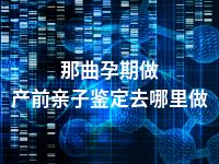 那曲孕期做产前亲子鉴定去哪里做