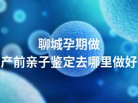 聊城孕期做产前亲子鉴定去哪里做好