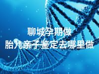 聊城孕期做胎儿亲子鉴定去哪里做