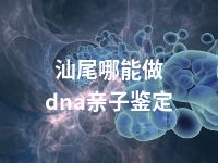 汕尾哪能做dna亲子鉴定