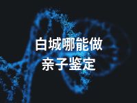 白城哪能做亲子鉴定