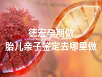 德宏孕期做胎儿亲子鉴定去哪里做