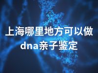 上海哪里地方可以做dna亲子鉴定