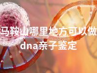 马鞍山哪里地方可以做dna亲子鉴定