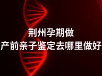 荆州孕期做产前亲子鉴定去哪里做好